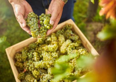 What Does Handcrafted Wine Mean?